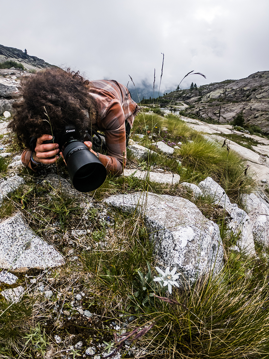 📷 Viaje fotografico en Cerdeña entre macro i paisaje