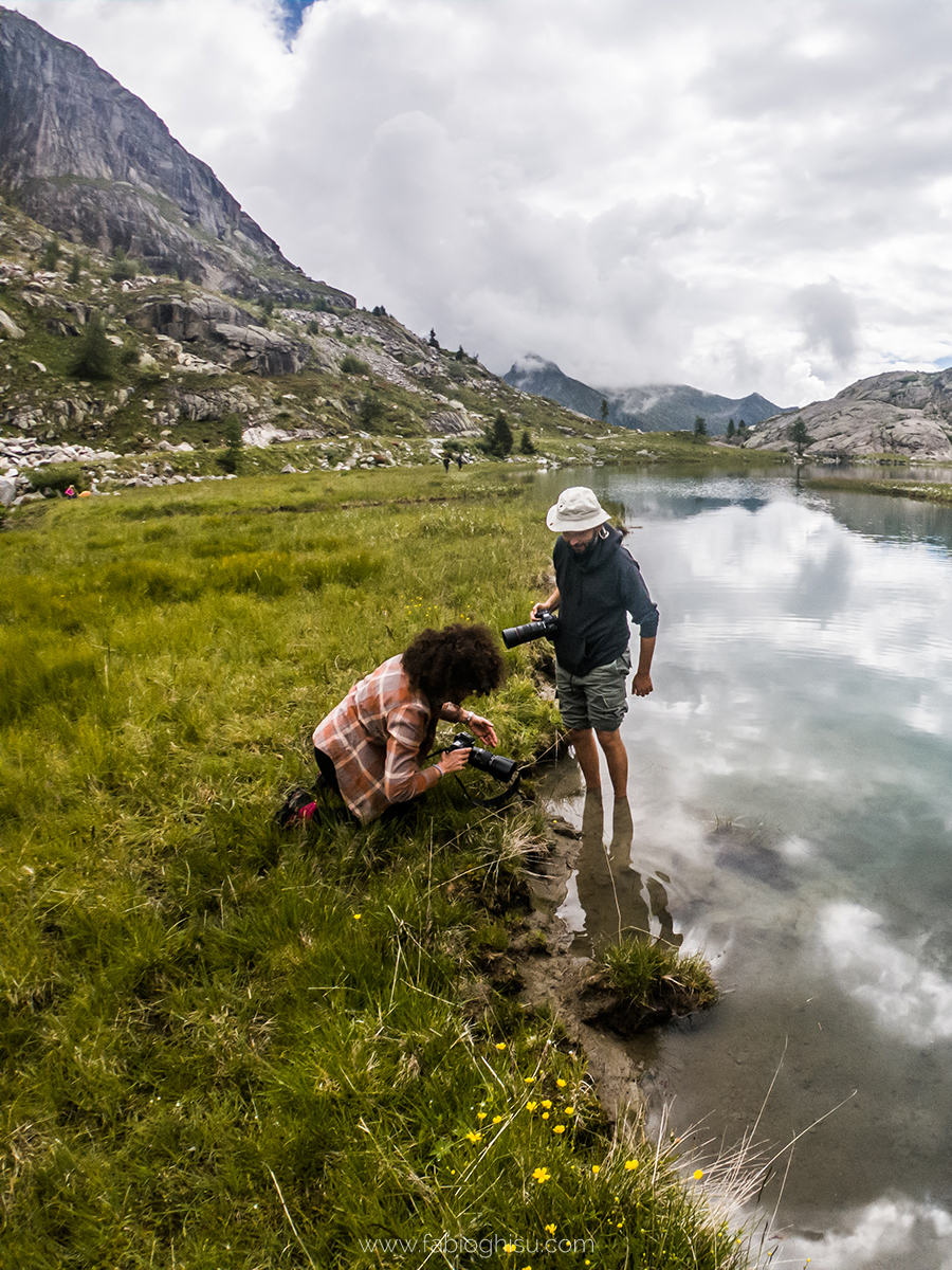 📷 Workshop fotografico in Trentino su macro e paesaggio
