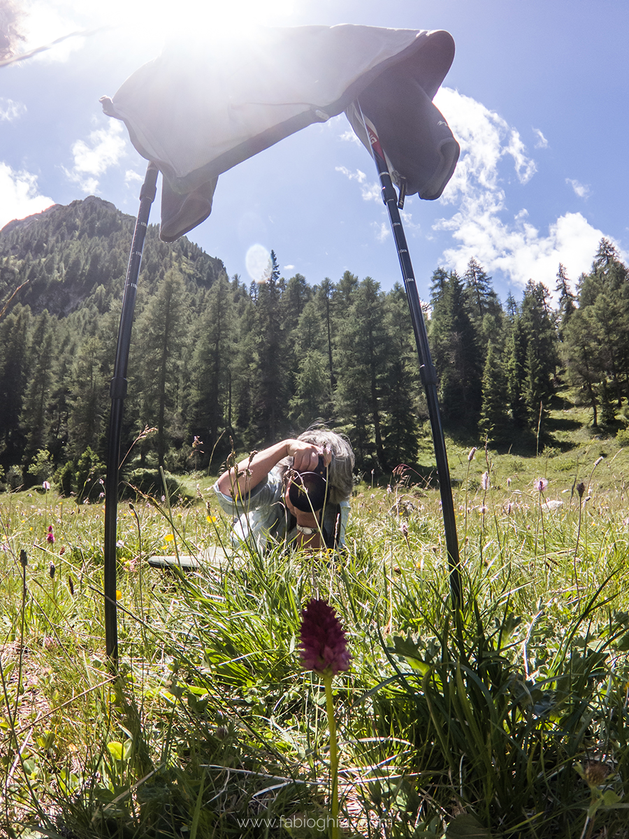 📷 Viaje fotografico en Cerdeña entre macro i paisaje