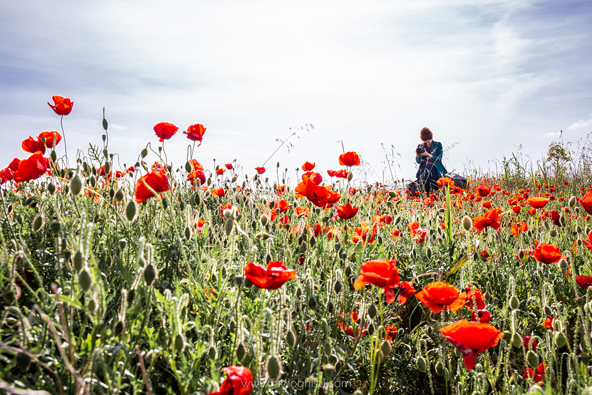 📷 Workshop fotografico in Sardegna su macro e paesaggio