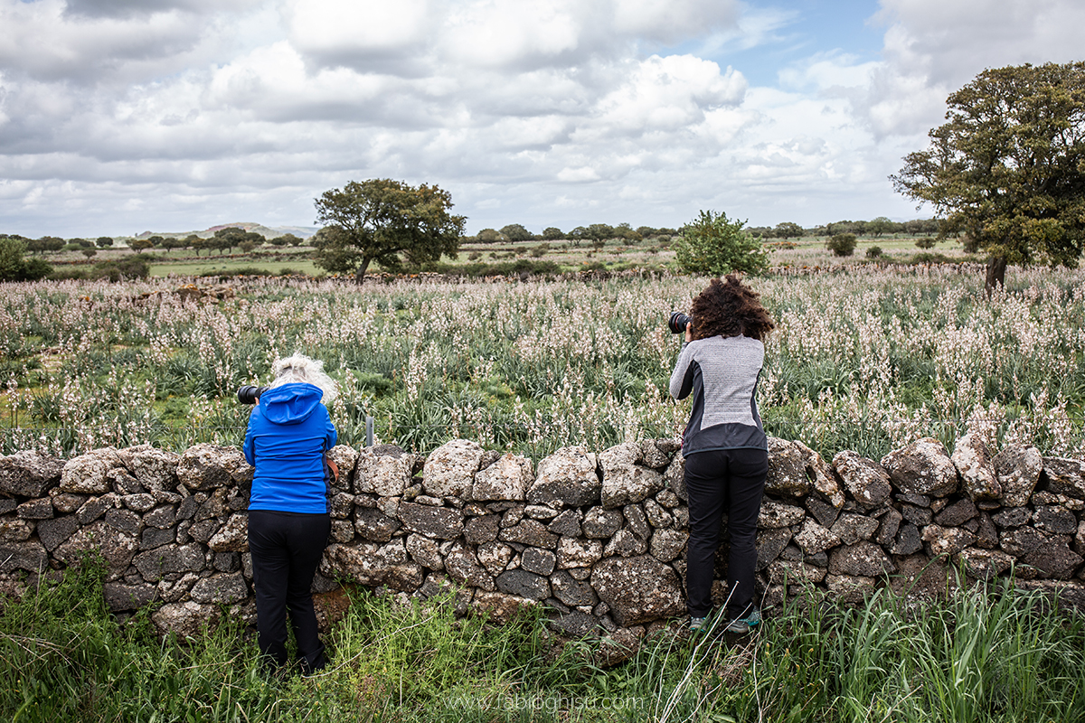 📷 Workshop fotografico in Sardegna su macro e paesaggio