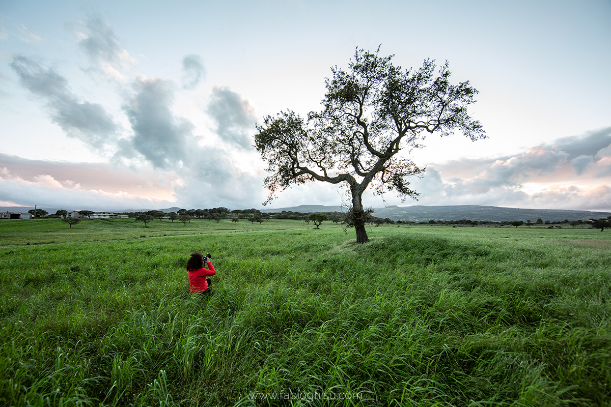 📷 Workshop fotografico in Sardegna su macro e paesaggio