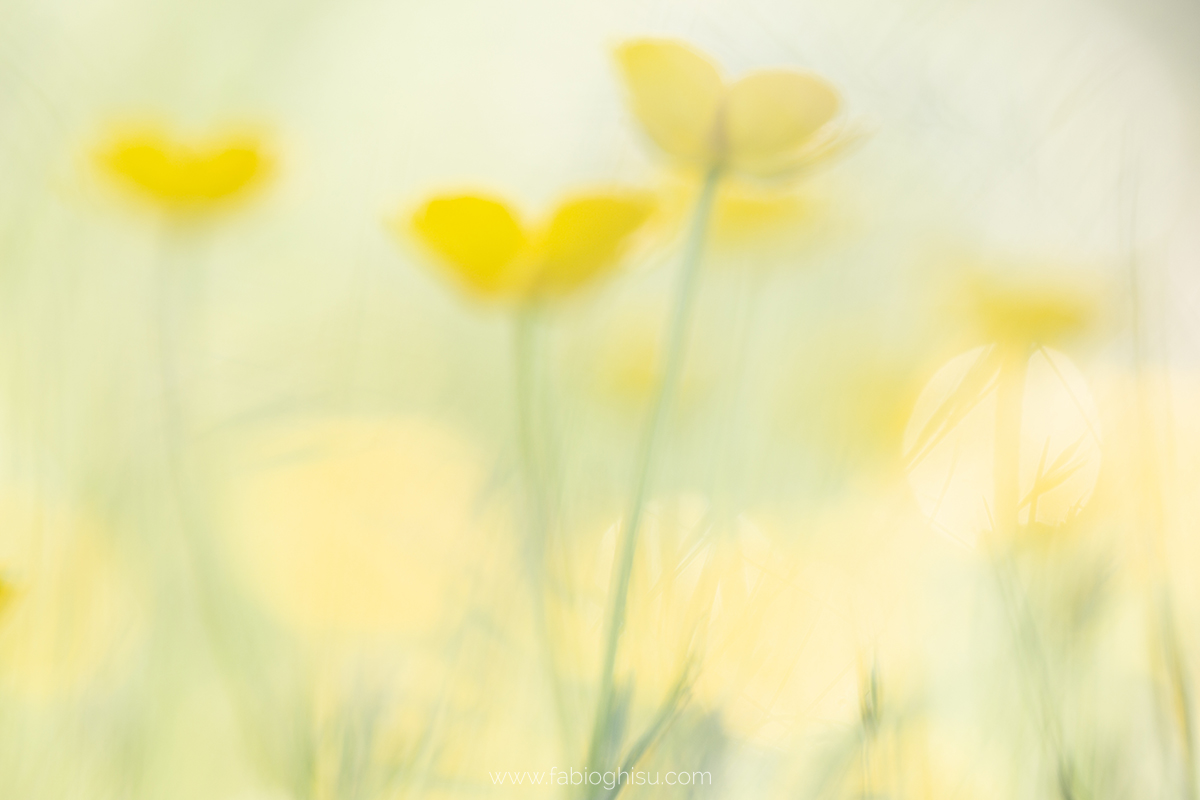 📷 Workshop fotografico in Sardegna su macro e paesaggio