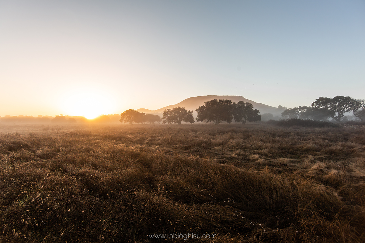 📷 Workshop fotografico in Sardegna su macro e paesaggio