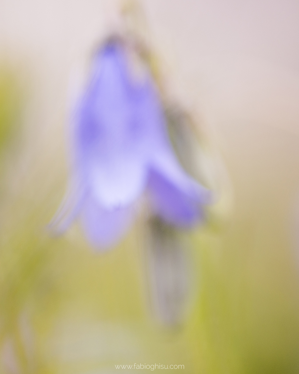 📷 Viaje fotografico en Cerdeña entre macro i paisaje