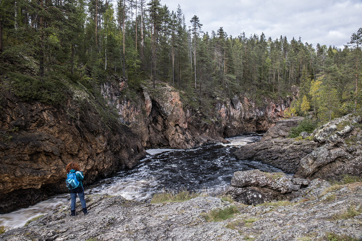 📷 Naturalistic journey in Finland