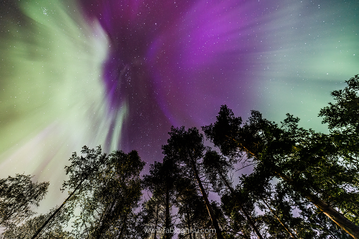 📷 Viaje naturalista en Finlandia