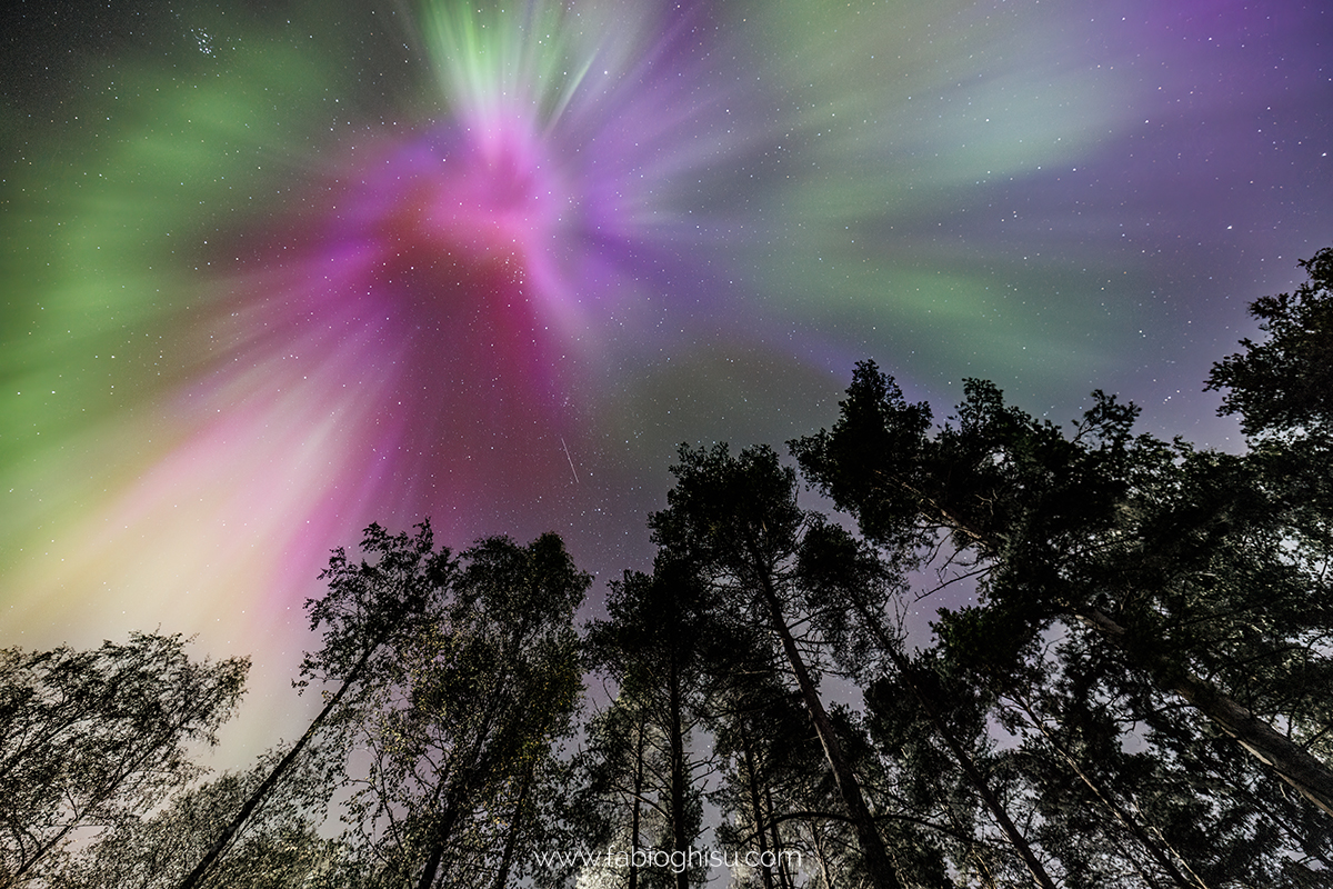 📷 Viaje naturalista en Finlandia