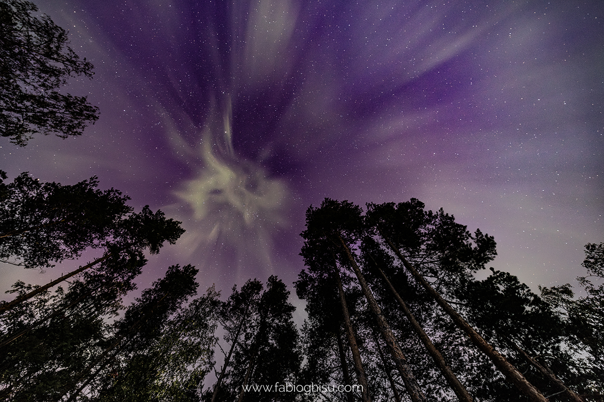 📷 Viaje naturalista en Finlandia