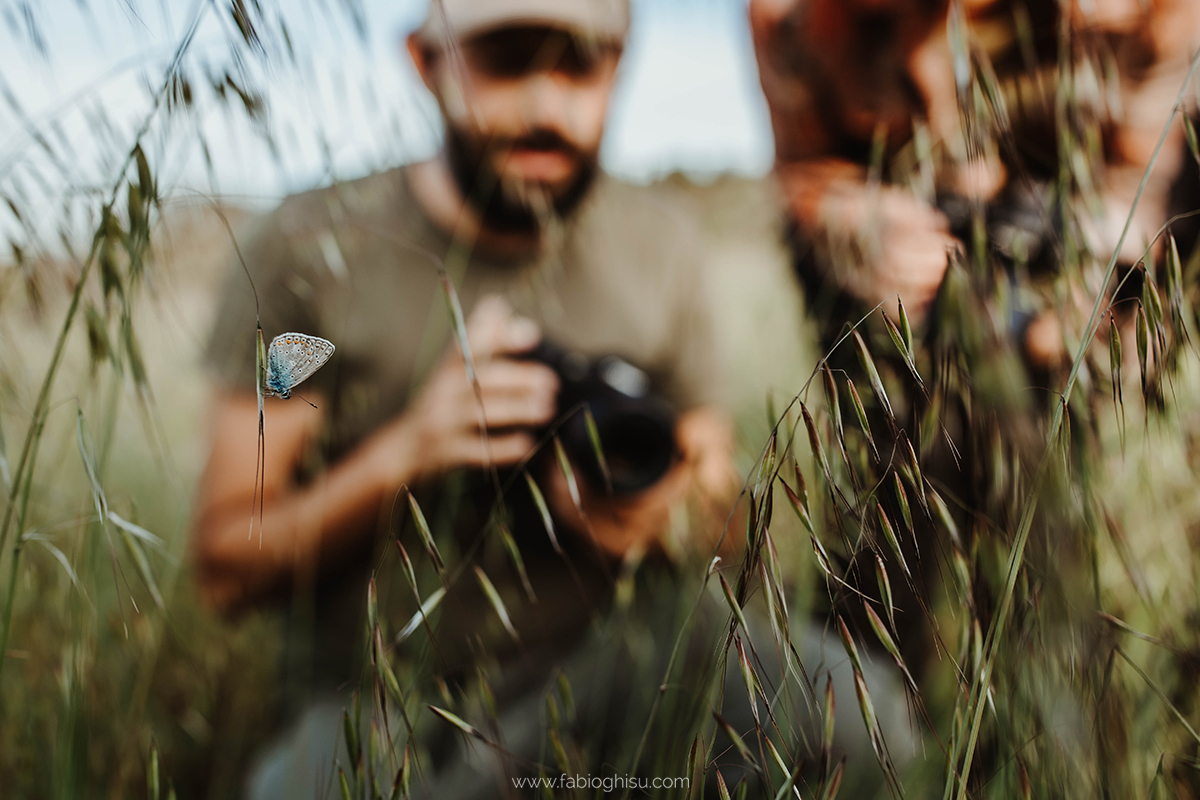 📷 Workshop fotografico in Sardegna su macro e paesaggio