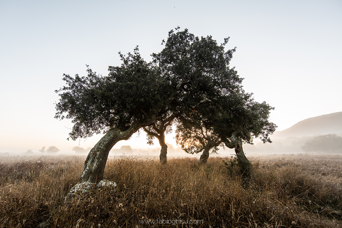 📷 Workshop fotografico in Sardegna su macro e paesaggio