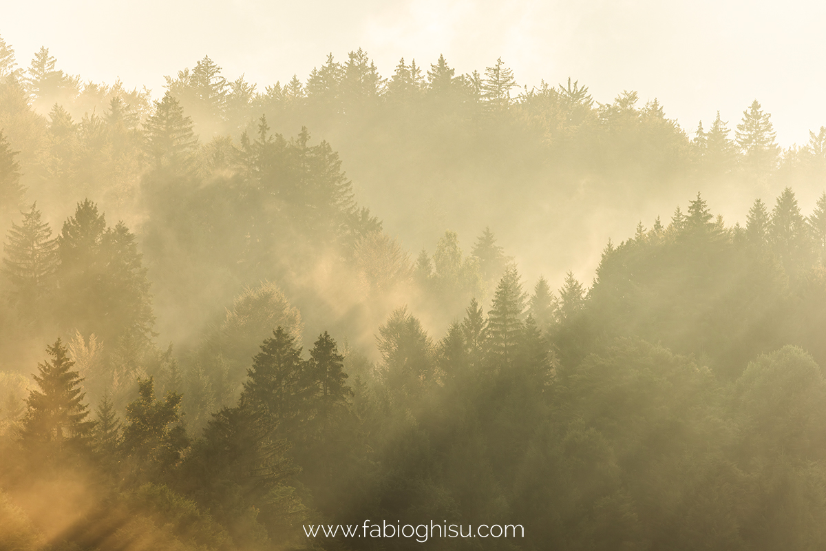 📷 Viaggio fotografico in Slovenia