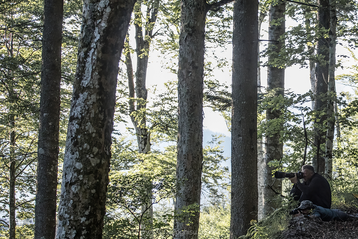 📷 Viaje naturalista en Eslovenia