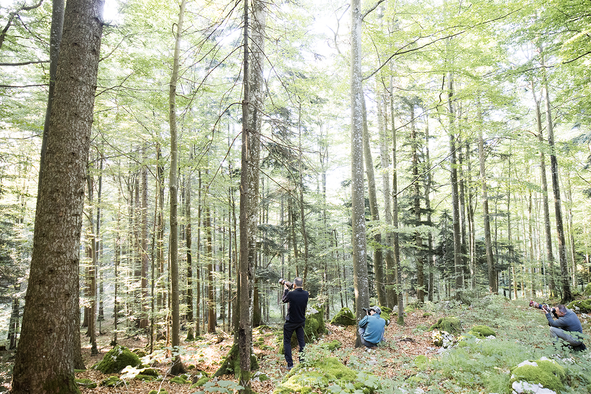 📷 Viaje naturalista en Eslovenia