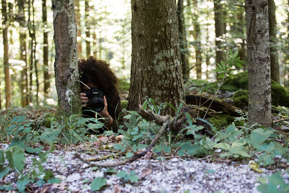 📷 Viaje naturalista en Eslovenia