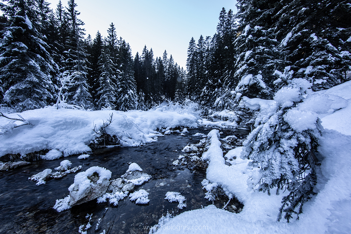 🥾 Trentino d'inverno: Viaggi escursionistici