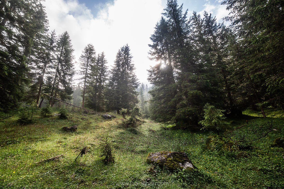 📷 Viaje fotografico en Cerdeña entre macro i paisaje