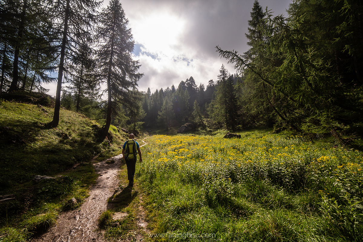 📷 Viaje fotografico en Cerdeña entre macro i paisaje