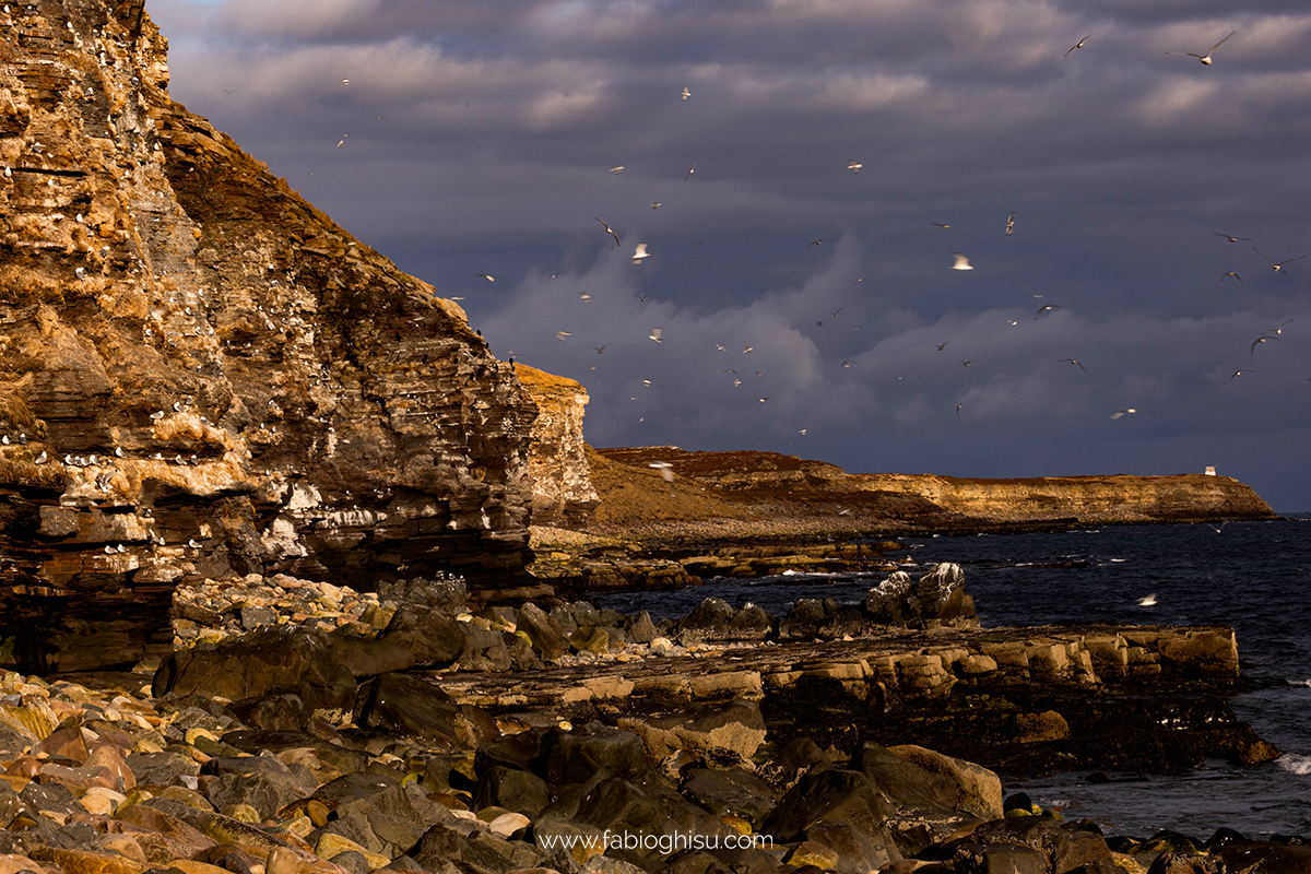 📷 Viaggio fotografico nel Varanger in Norvegia
