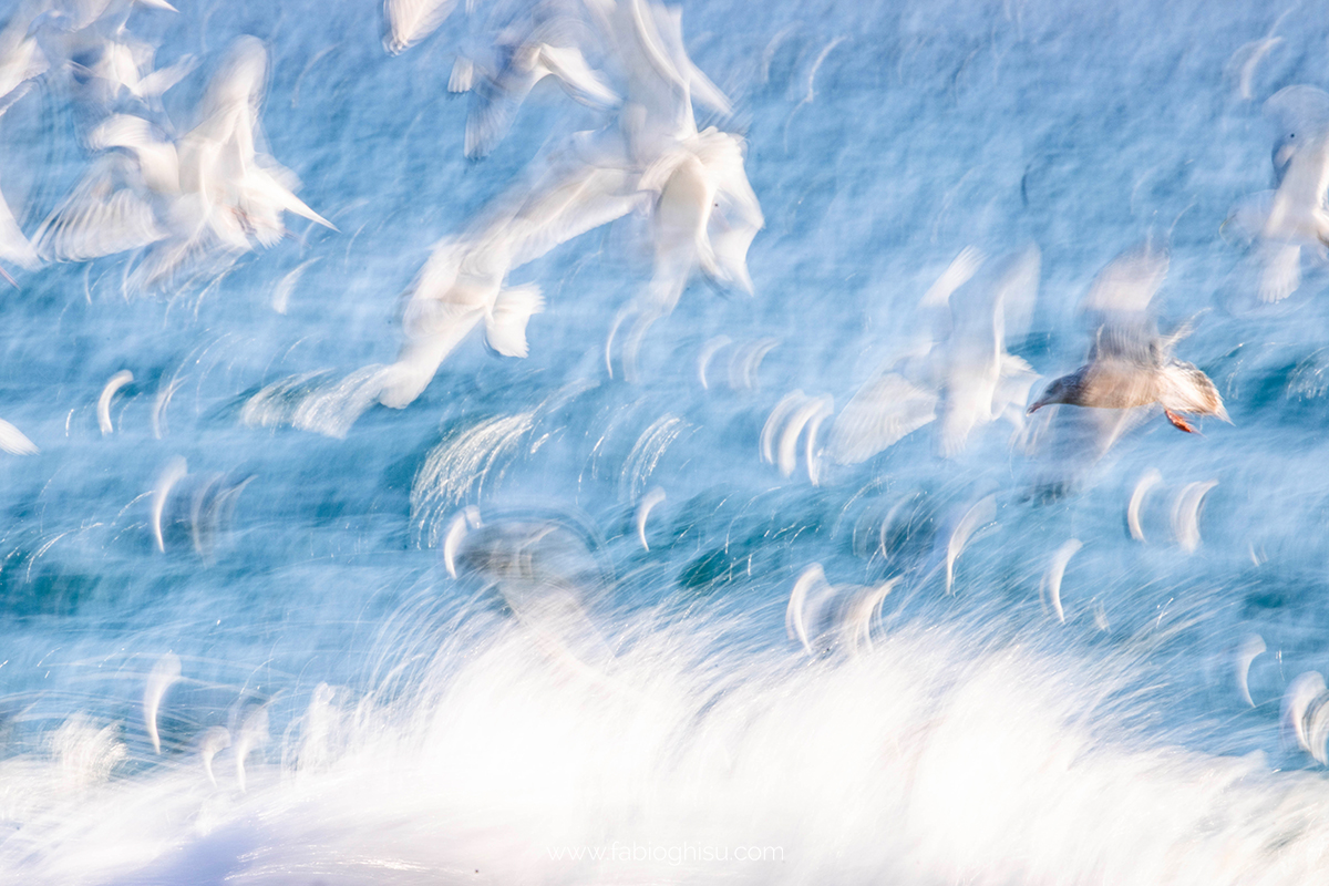 📷 Viaggio fotografico nel Varanger in Norvegia