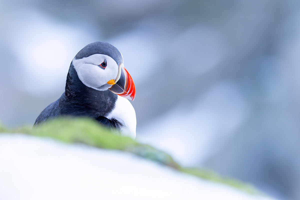 📷 Viaggio fotografico nel Varanger in Norvegia
