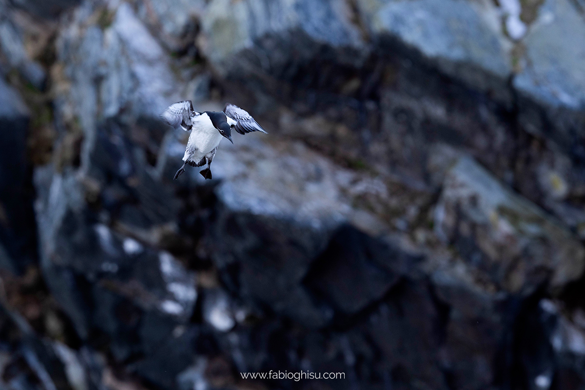 📷 Viaggio fotografico nel Varanger in Norvegia