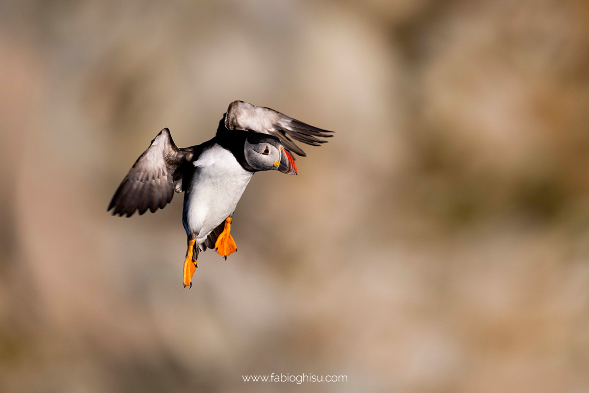 📷 Viaggio fotografico nel Varanger in Norvegia