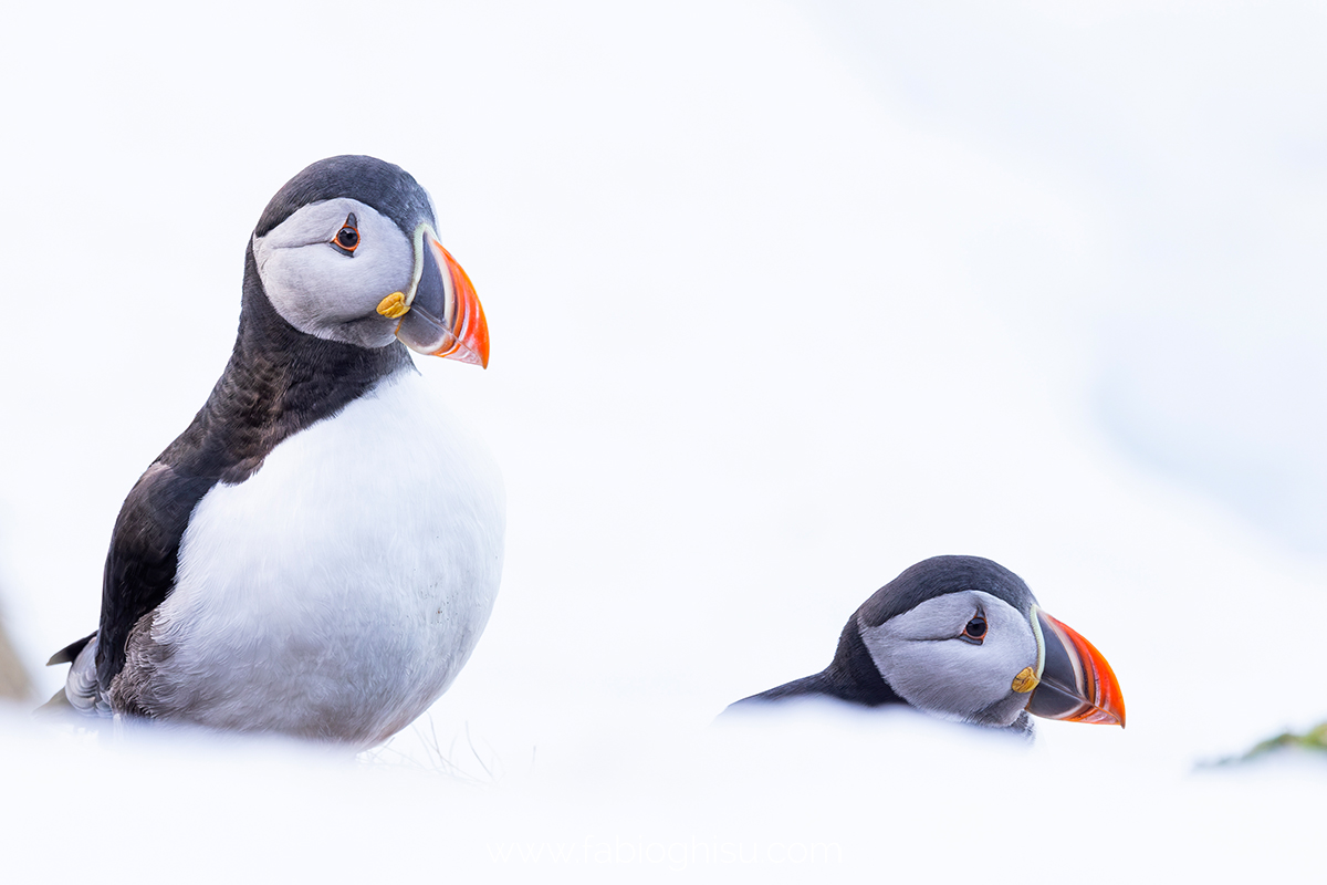 📷 Viaggio fotografico nel Varanger in Norvegia