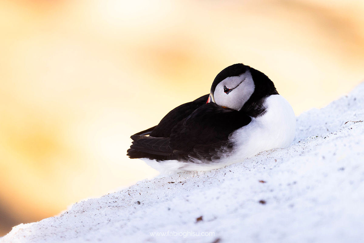 📷 Viaggio fotografico nel Varanger in Norvegia