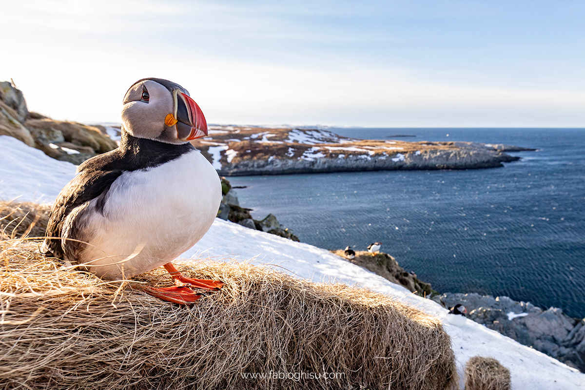 📷 Viaggio fotografico nel Varanger in Norvegia