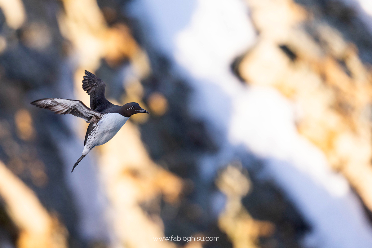 📷 Viaggio fotografico nel Varanger in Norvegia
