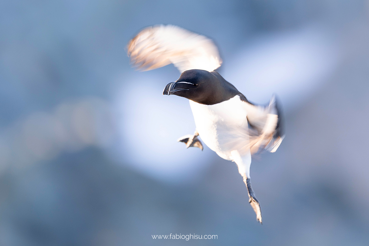 📷 Viaggio fotografico nel Varanger in Norvegia