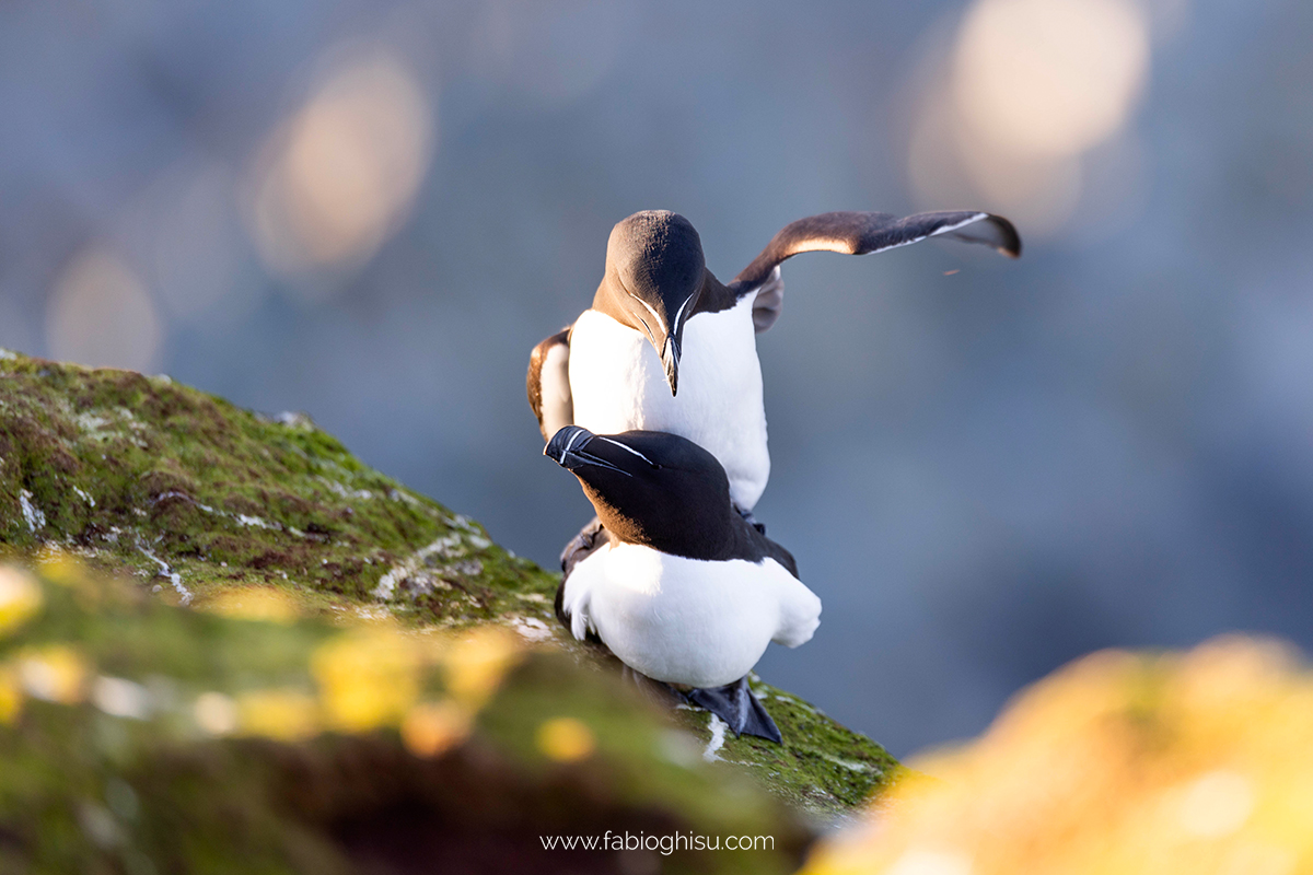 📷 Viaggio fotografico nel Varanger in Norvegia