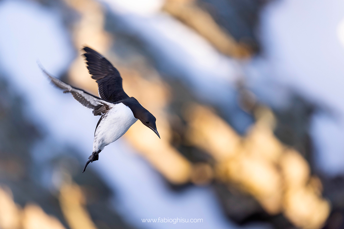 📷 Viaggio fotografico nel Varanger in Norvegia