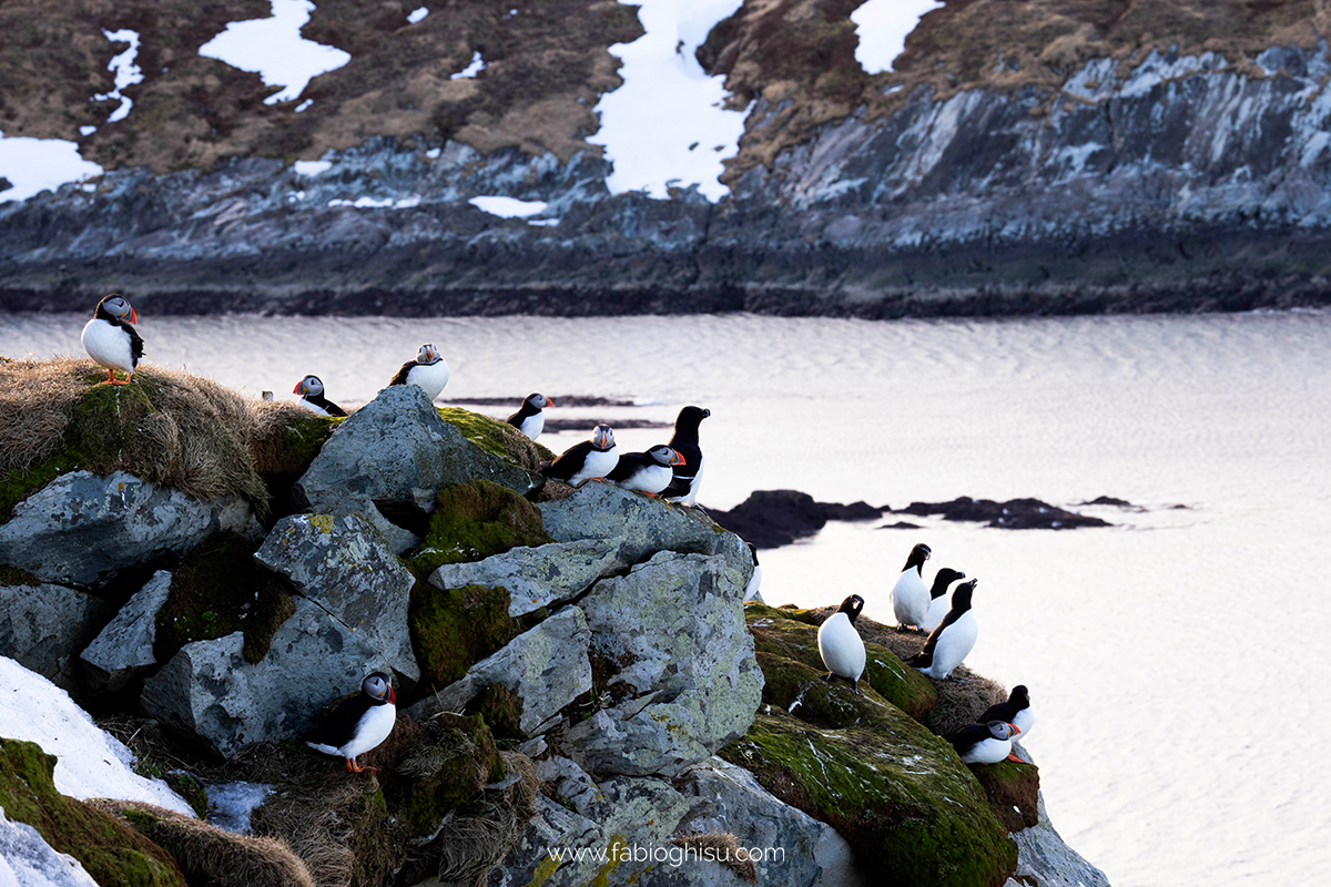 📷 Viaggio fotografico nel Varanger in Norvegia