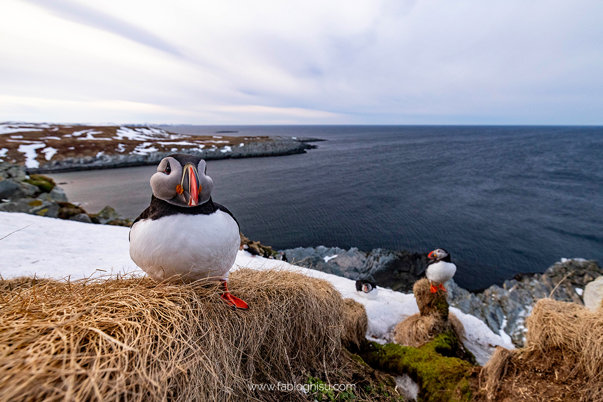 📷 Viaggio fotografico nel Varanger in Norvegia