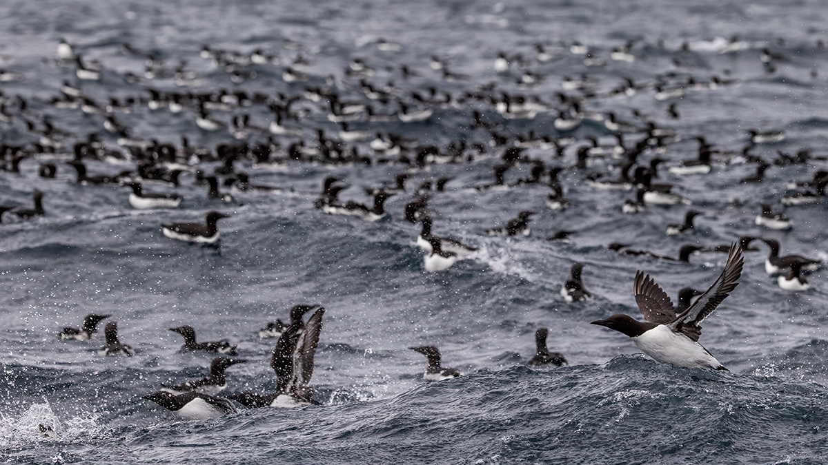 📷 Viaggio fotografico nel Varanger in Norvegia