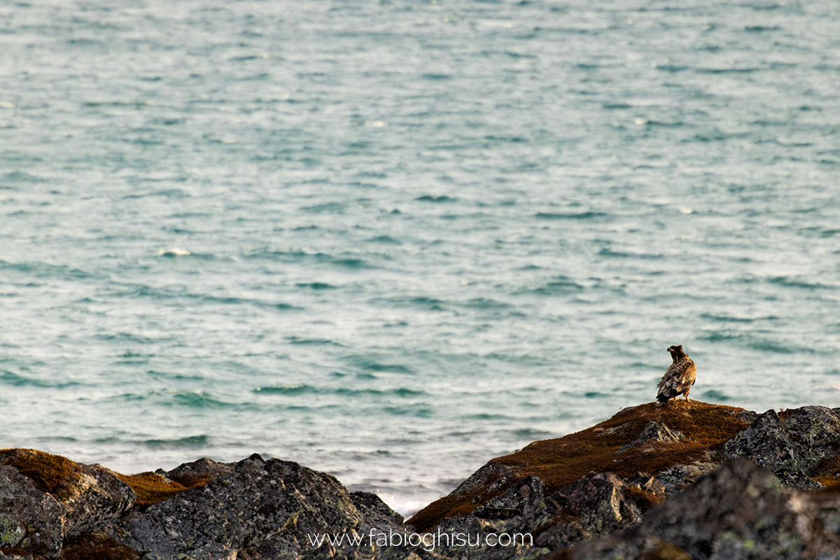 📷 Viaggio fotografico nel Varanger in Norvegia