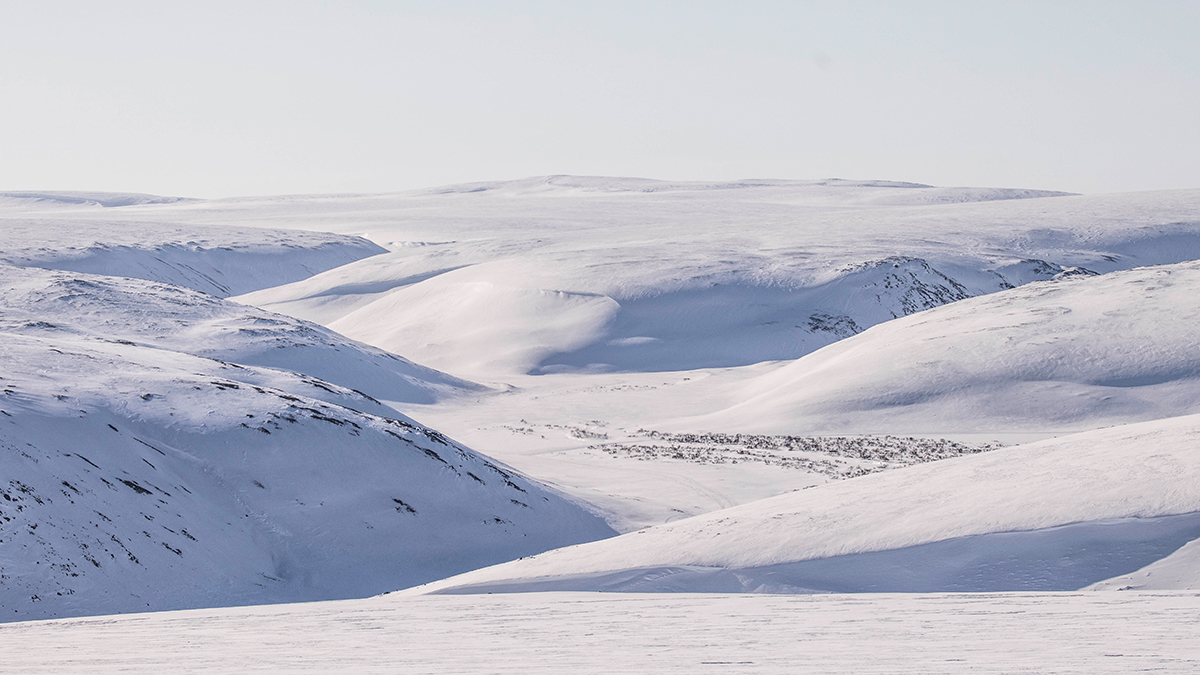 📷 Viaggio fotografico nel Varanger in Norvegia
