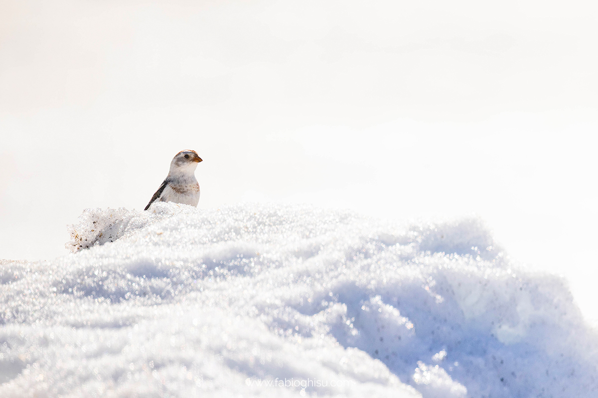 📷 Viaggio fotografico nel Varanger in Norvegia