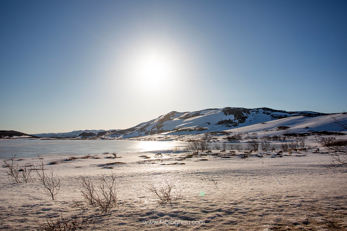 📷 Viaggio fotografico nel Varanger in Norvegia