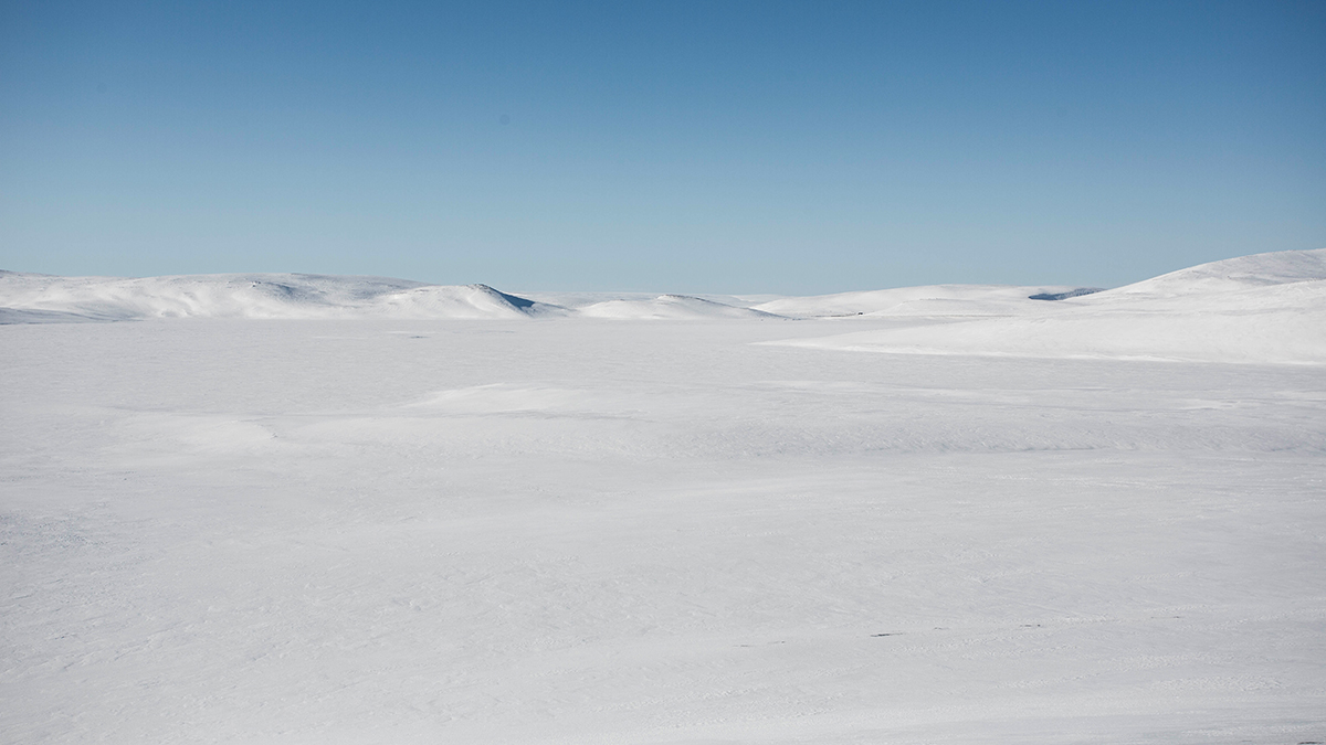 📷 Viaggio fotografico nel Varanger in Norvegia
